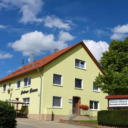 Grüner Baum Langenau